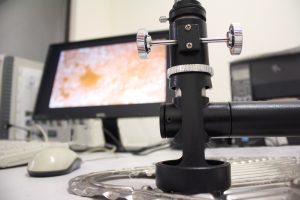 servicio de inspección microscópica