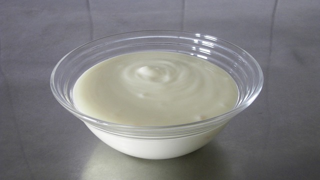 elaboración del yogurt