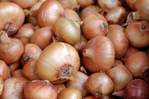 cebollas en cámara de refrigeración