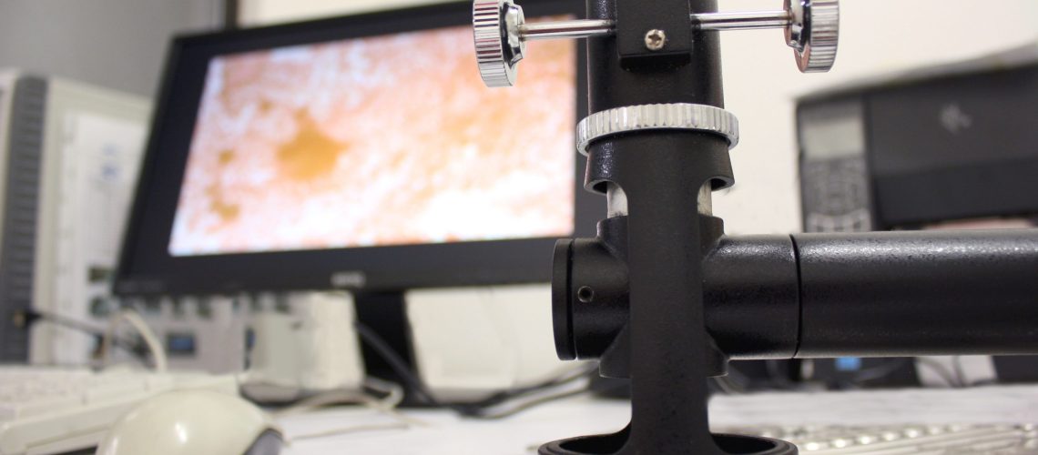 servicio de inspección microscópica