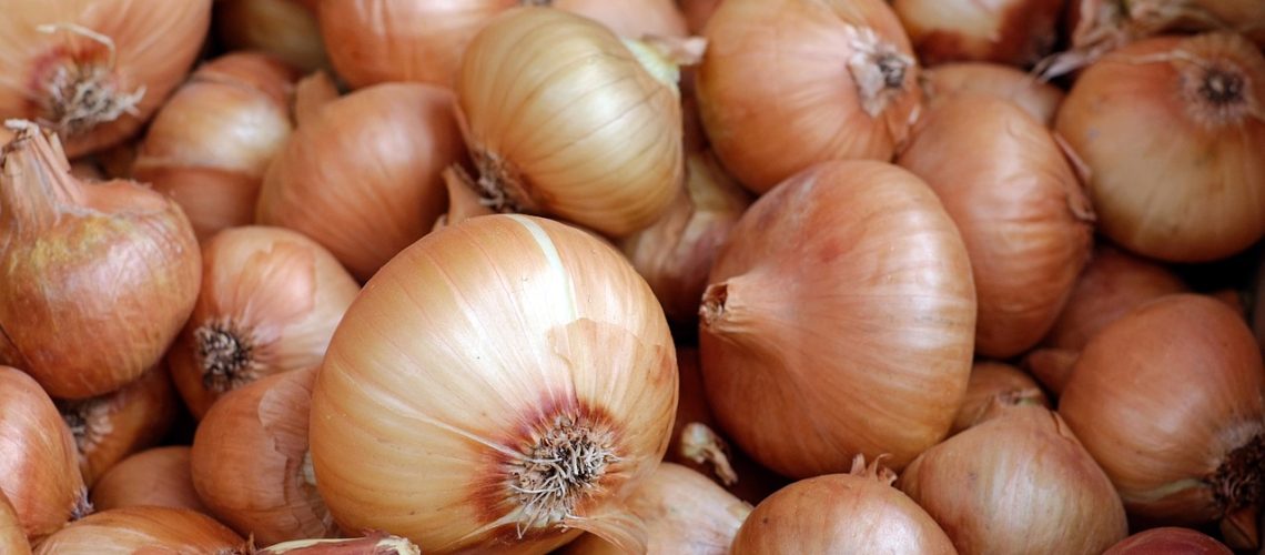 cebollas en cámara de refrigeración