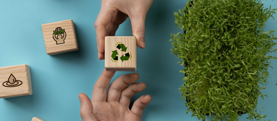 eficiencia energética de procesos industriales